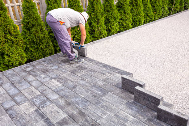 Best Driveway Paving Contractor  in Mckenzie, TN