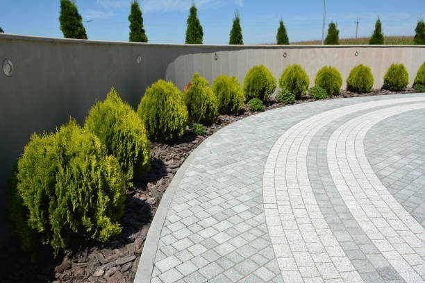 Best Cobblestone Driveway Pavers  in Mckenzie, TN