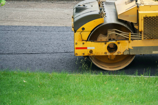 Best Driveway Paving Contractor  in Mckenzie, TN